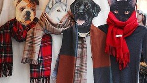 월동 준비[고양이 눈]