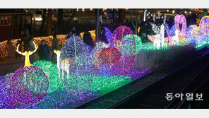 [청계천 옆 사진관]화랑대역 불빛 정원 개장