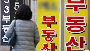 23일부터 투기지역·투기과열지구 9억 이상 주택구매때 대출한도 축소