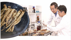 [Beauty&]“아시아의 지혜가 현대 과학과 만나다”