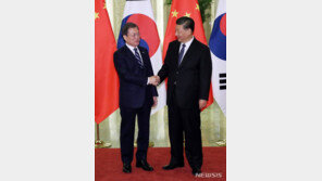 한중 정상회담, 예정시간 넘겨 55분 진행…엄중한 한반도 상황 공유