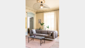 “실용성은 기본, 원색으로 포인트… 이게 ‘뉴 노르딕’ 스타일” 