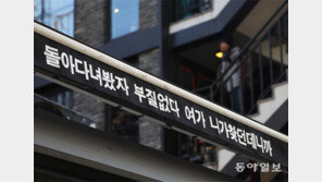 답정너[고양이 눈]