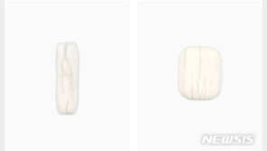 순간을 박제하고픈 욕망…예술가 17명의 ‘시간을 보다’