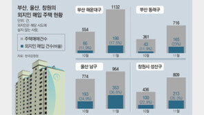 수도권 막으니 지방으로… 부산 ‘해수동’ 주택매입 20%가 외지인
