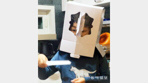 재활용품 기사[고양이 눈]