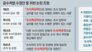 “공수처가 규칙 만들어 조직-운영 사항 정하는 건 위헌소지”