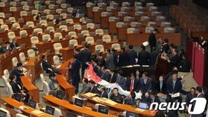 헌정사상 첫 여야 합의없는 선거법 처리…헌법소원·비례정당 어쩌나