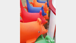 돌고래의 꿈[고양이 눈]