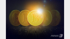 강세장 기대 안고 출발했는데…암호화폐 ‘톱10’ 올해 누가 울고 웃었나