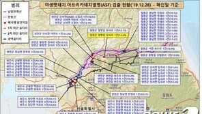 철원 야생멧돼지 폐사체서 ASF 바이러스 검출…전국 53번째