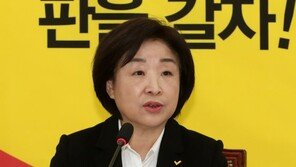 심상정 “공수처 법안 가결 정족수 점검 끝났다…통과 확신”
