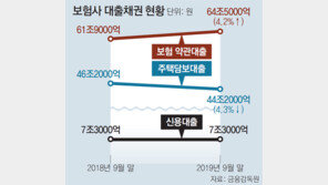 年 7~9%대 고금리 논란… 금융당국, 보험약관대출 손본다