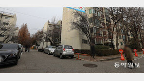 ‘초과이익환수’ 덮친 재건축 비상… 강남권 호가 3억원 하락도