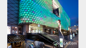 갤러리아, 내년 ‘남성 명품’ 강화…구찌·루이비통·벨루티 새 단장