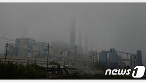 겨울철 첫 석탄발전 축소…미세먼지 배출량 36%↓