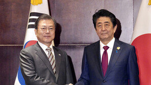 아베, 文대통령과 회담서 “후쿠시마 적당히 괴롭혀라”