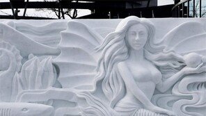 추위를 기다리는 인어[고양이 눈]