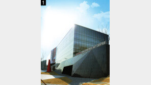 백남준 고국에서 볼 수 없는 백남준 전시회