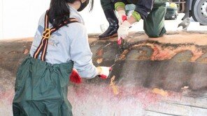 길이 12.6m·무게 12톤 대형고래, 국내 첫 부검…사인 뭘까?