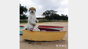 북극곰 뱃사공[고양이 눈]