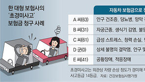 범퍼 긁혔는데 불임치료 보험금 청구