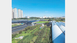 일산 토지, 그린벨트 자연녹지 20명 선착순 판매