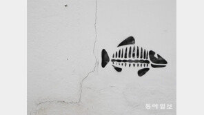 중생대의 꿈[고양이 눈]