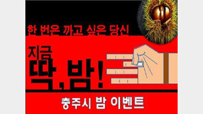 ‘B급 감성 정책홍보’ SNS 강타한 지방공무원