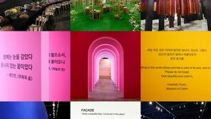 ‘인증샷’ 전성시대…변화하는 문화·예술 전시 트렌드