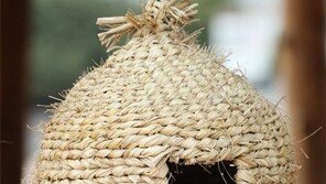 주인 없는 집[고양이 눈]