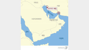 ‘봉쇄 일보직전’ 놓인 세계 원유의 동맥…긴박한 호르무즈 해협