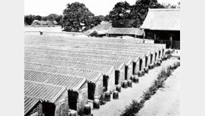 소통 길 막히면 나라가 망한다[MONDAY DBR]