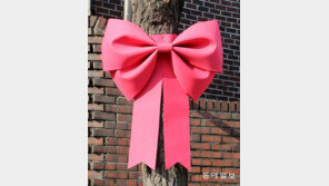 핑크 비타민[고양이 눈]