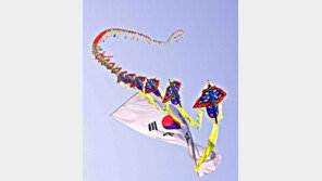 [청계천 옆 사진관] 인도 하늘을 수놓은 한국의 연