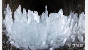 [청계천 옆 사진관]겨울 맞아?… ‘얼음을 찾아라’