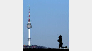 다시 파란 하늘[고양이 눈]