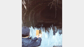 엘사 왔었니?[고양이 눈]