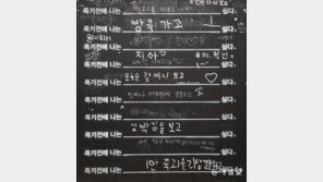 담벼락 버킷리스트[고양이 눈]