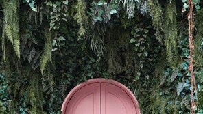 핑크 문을 열면[고양이 눈]