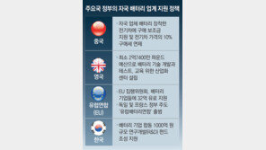 中, 보조금 정책 연장하며 배터리 지원… 업계 “우리 정부만 뒷짐”