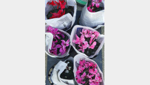 춥지 않도록[고양이 눈]