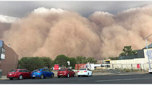 최악 산불 호주… 이번엔 시속 107km 돌풍