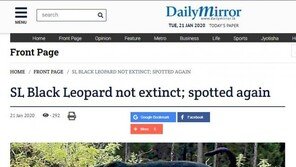 멸종된 줄 알았는데…‘스리랑카 흑표범’ 가족 4마리 발견돼