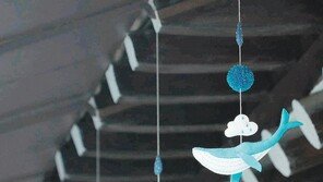 고래는 어디로 갈까[고양이 눈]