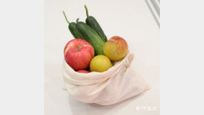 “사과는 꼭지 살피세요!”…명절 차례상 좋은 과일·채소 장보기 팁