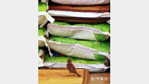 그림의 떡[고양이 눈]