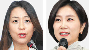 與, 어린이 안전 호소 ‘태호 엄마’… 한국당은 ‘이미지 전략가’ 영입