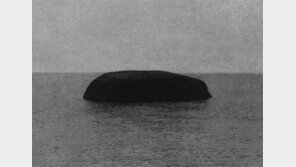 ‘무념무상’ 자연을 담다… 사진작가 이정진 개인전