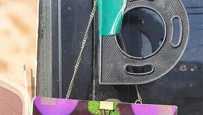 멋진 휴일[고양이 눈]